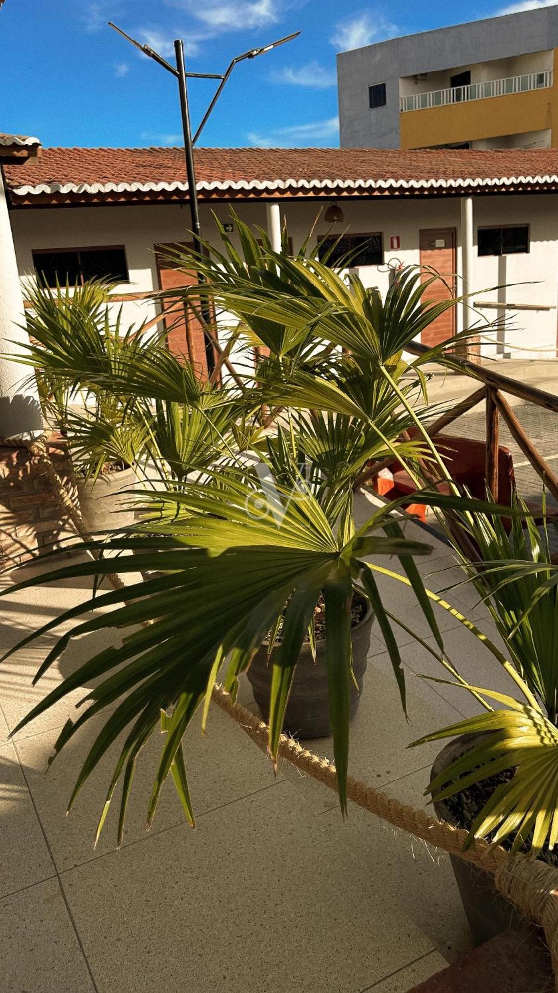 Village Comfort Hotel Canindé de São Francisco Exteriér fotografie
